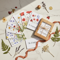 The Ladybug Enchanted Garden Greeting Card Pack flat lay